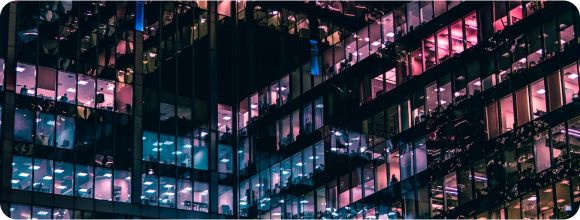 Revenue Growth Support - Tactical Business Development