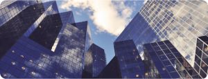Revenue Growth Support - Tactical Business Development