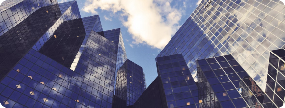 Revenue Growth Support - Tactical Business Development